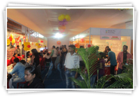 Preschool Fair 2015